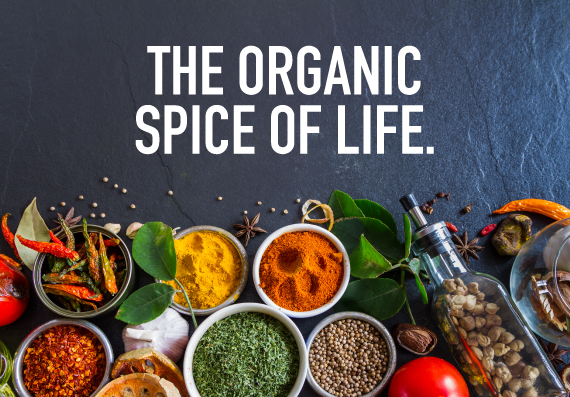 The Big Debate - Organic Spice vs Regular Spice! Which One’s Better?